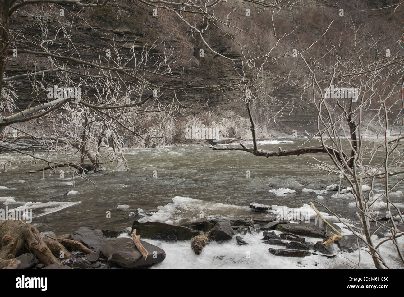 Secteur des chutes d'Ithaca Ithaca, NY Banque D'Images