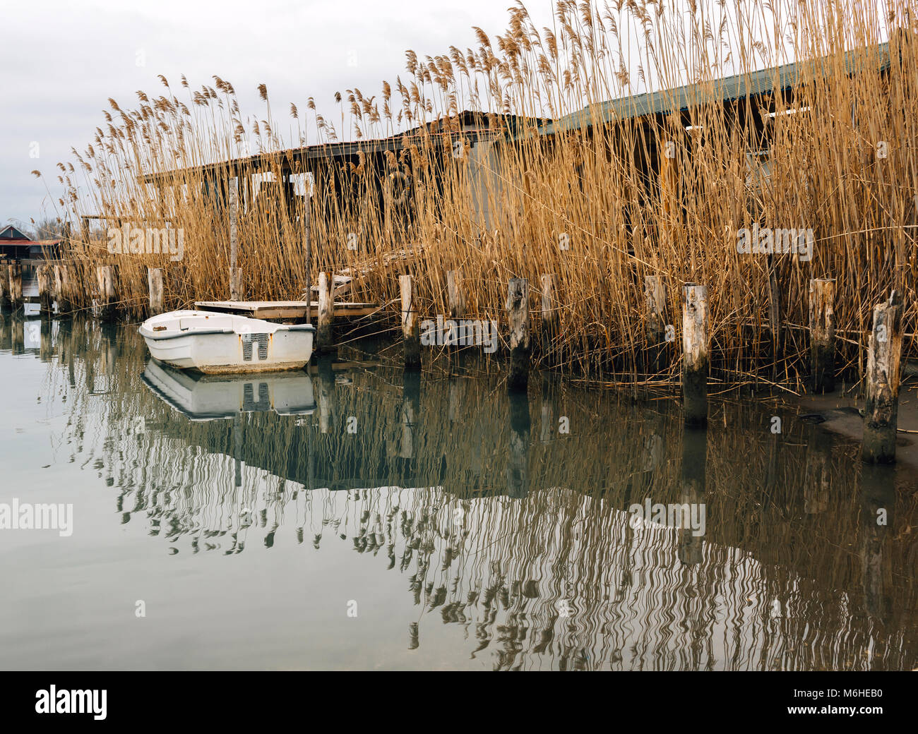 Lac avec pont de bois ou d'herbes marécageuses avec dock Banque D'Images