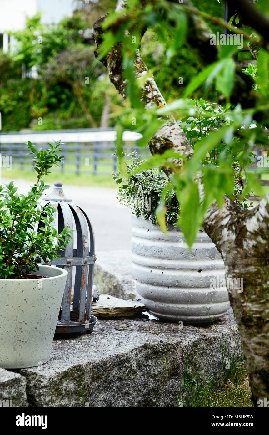 Jardin De Pierre Vert Et Blanc Avec Plantes Et Pots En Béton