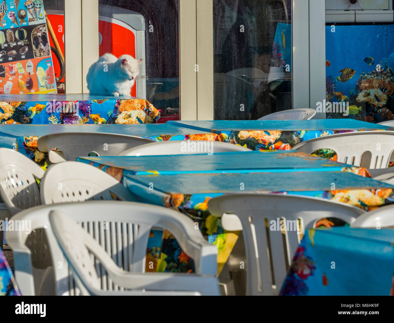 Restaurant de fruits de mer en plein air sur l'île de Procida, Italie Banque D'Images