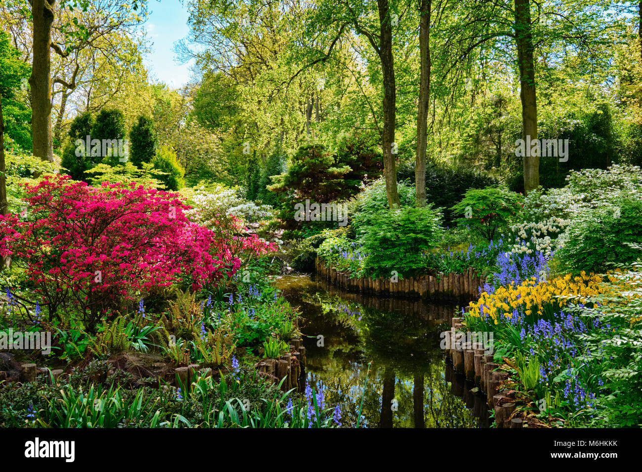 Jardin de fleurs Keukenhof. Lisse, aux Pays-Bas. Banque D'Images