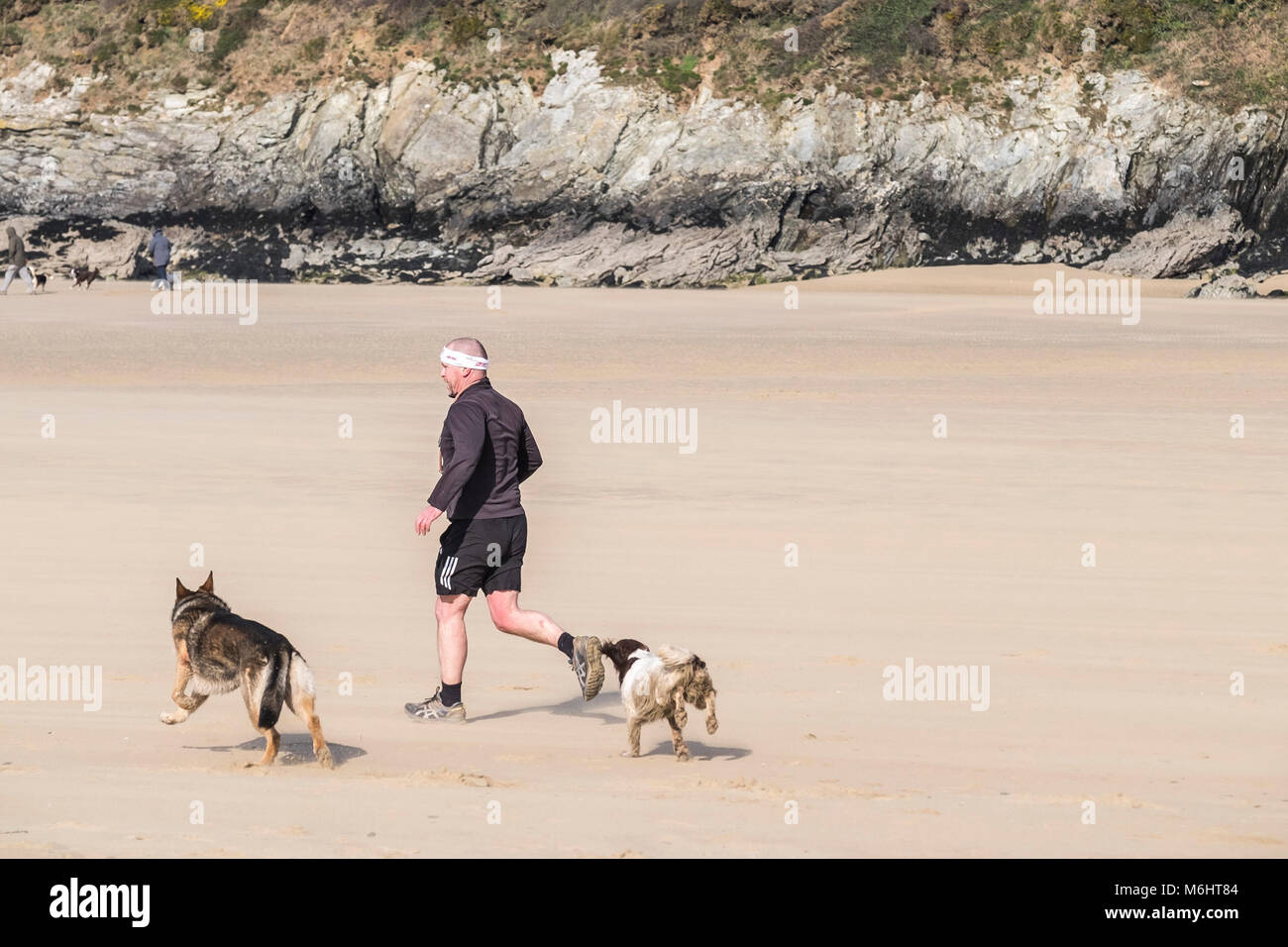 Un homme et ses chiens qui courent le long d'une plage. Banque D'Images