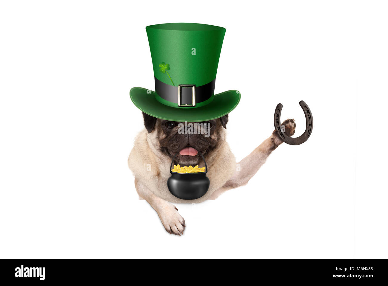 St Patricks day chiot pug dog avec lutin vert hat, holding horseshoe et pot avec des pièces d'or, isolé sur fond blanc Banque D'Images