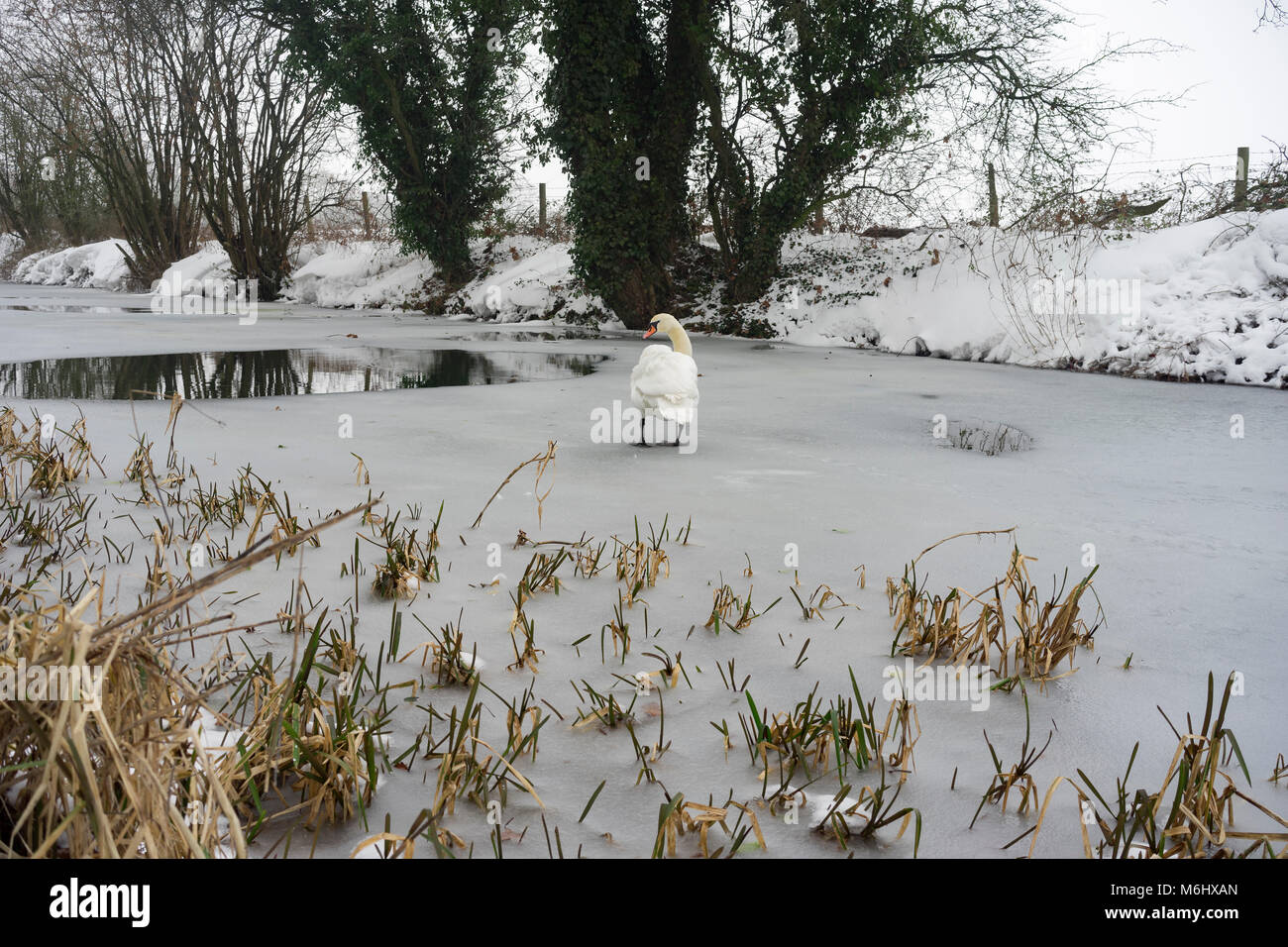 Le Basingstoke Canal à Odiham dans le Hampshire sur un jour d'hiver, neige Banque D'Images