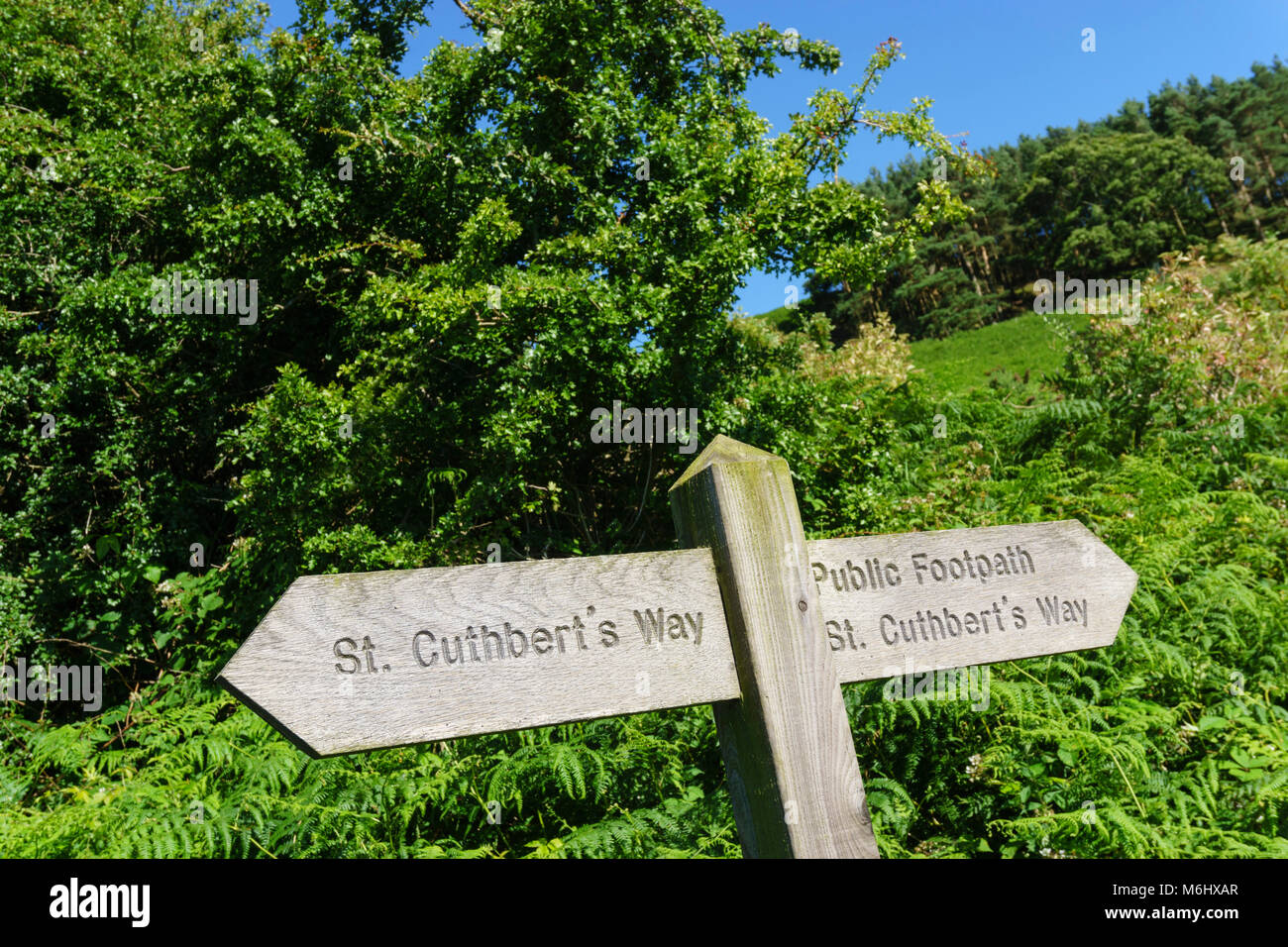 St Cuthbert's Way, Northumberland, balade à vélo. Panneau routier près de Chatton. Banque D'Images