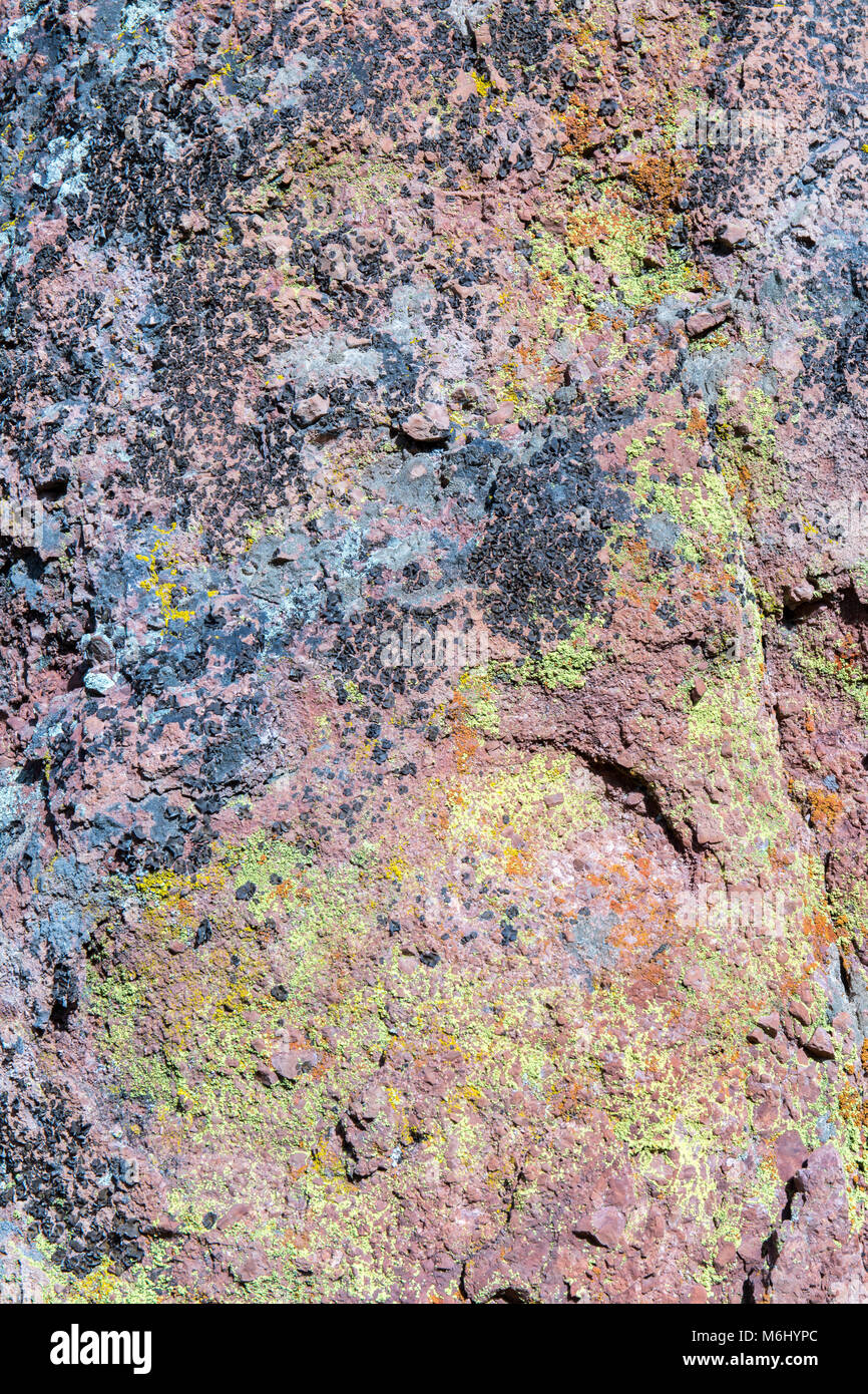 Hornby – Lichen Vert Grand Mélange – Accessoire Pour Diorama Et Train Miniature – Modélisme, Décor Végétal, Collectionneur