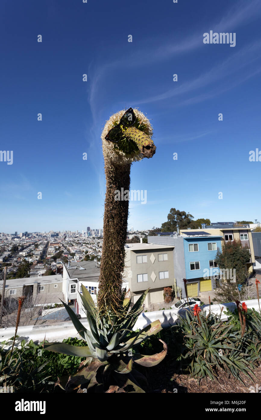 Cactus Agave dramatique avec tige avec dingo lunettes de soleil. Silly fun humor. San Francisco, Californie. Banque D'Images