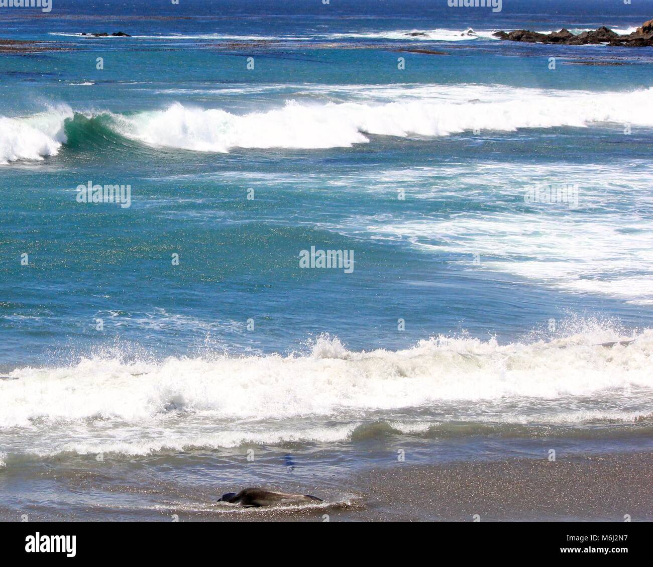 California coast Banque D'Images