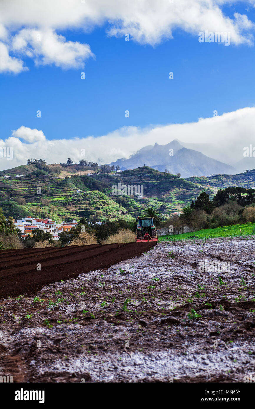 Préparer le terrain avec un tracteur pour la culture de la pomme de terre domaine Banque D'Images