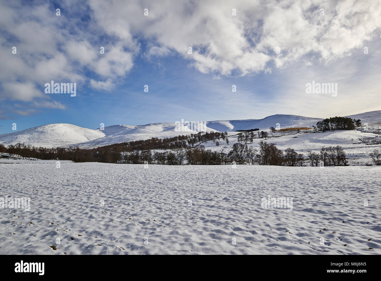 À l'ouest de Glen Clova, qui est au coeur de l'Angus Glens en Ecosse. Une récente chute de neige recouvre les champs et les collines de neige. Banque D'Images