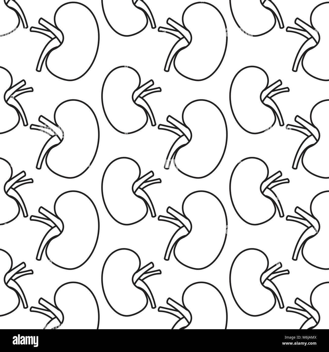 Avec fond d'organes rein humain medical Illustration de Vecteur
