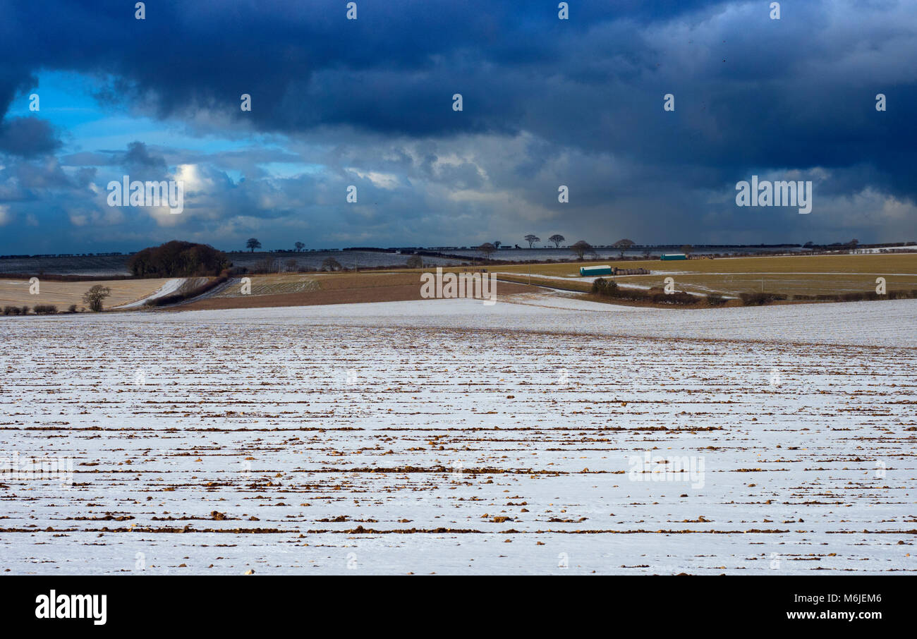 Champs arables près de Ringstead Norfolk sous la neige Banque D'Images
