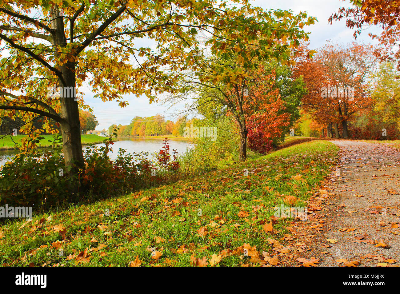 Piste cyclable et les arbres d'automne. Paysage tchèque. Banque D'Images