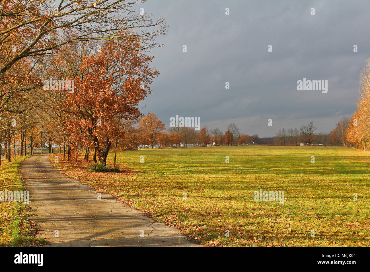 Les arbres d'automne et prairie avec piste cyclable à proximité de la rivière Vltava. Paysage tchèque Banque D'Images