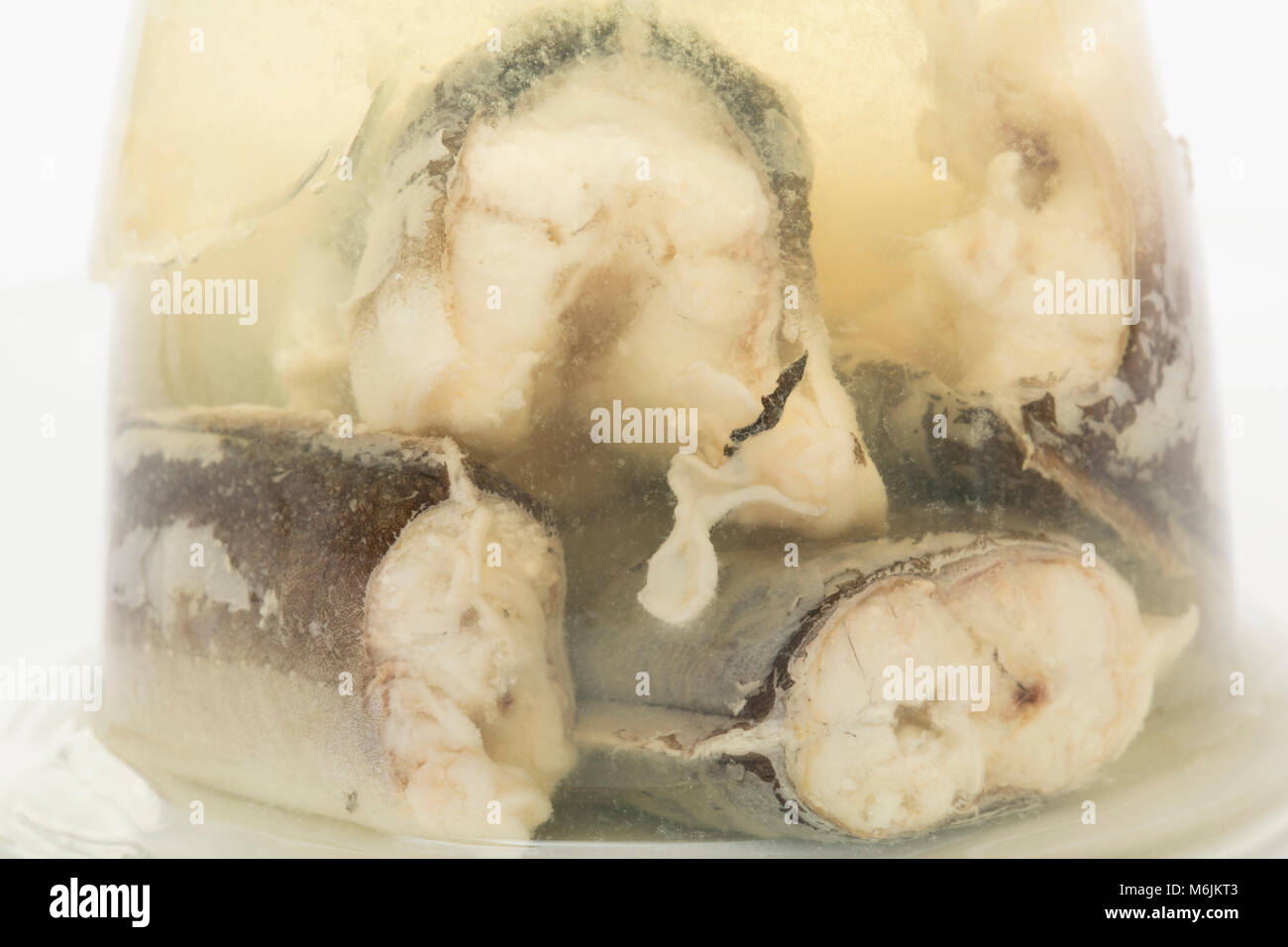 Les anguilles en gelée, Anguilla anguilla, acheté dans un supermarché en Angleterre UK GO Banque D'Images