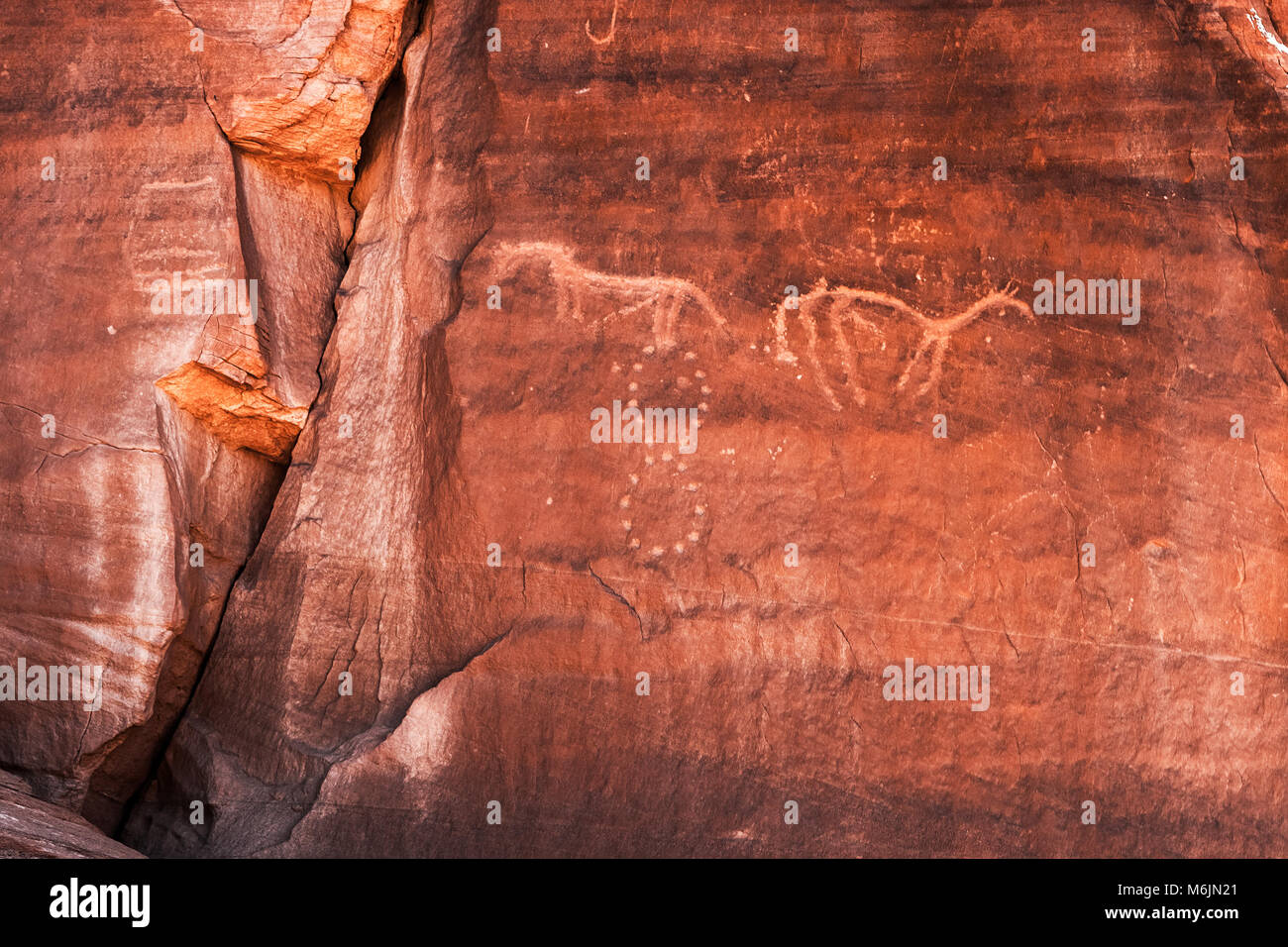 Pétroglyphes Anasazi sculptés sur une falaise du canyon de Chelly représentant deux chevaux et le symbole de l'infini, de l'Arizona. Banque D'Images Pétroglyphes Anasazi sculptés sur une falaise du canyon de Chelly représentant deux chevaux et le symbole de l'infini, de l'Arizona. Banque D'Images