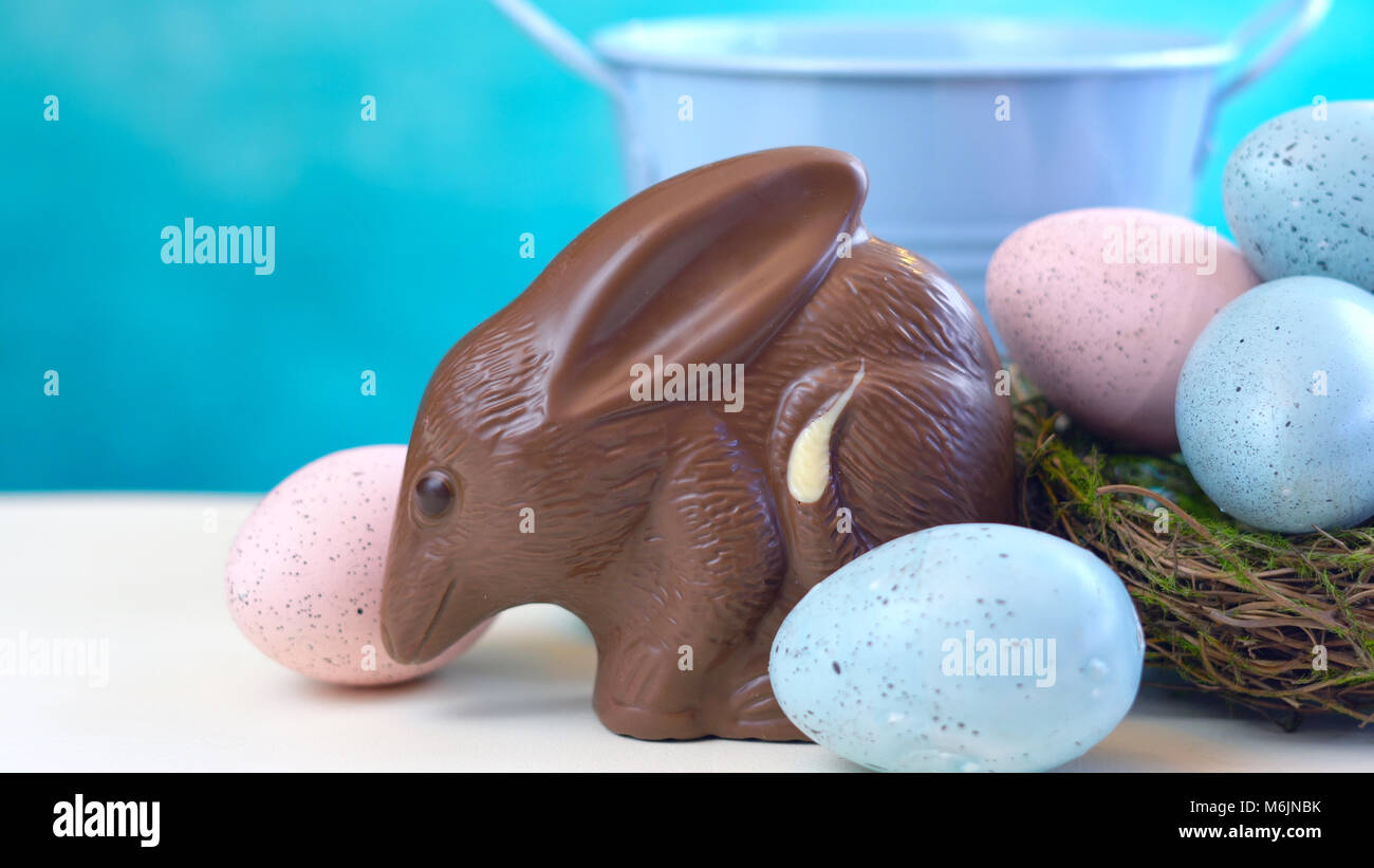 Chocolat au lait australien oeuf de Pâques Bilby avec des oeufs dans le nid contre un fond blanc et bleu avec l'exemplaire de l'espace. Banque D'Images