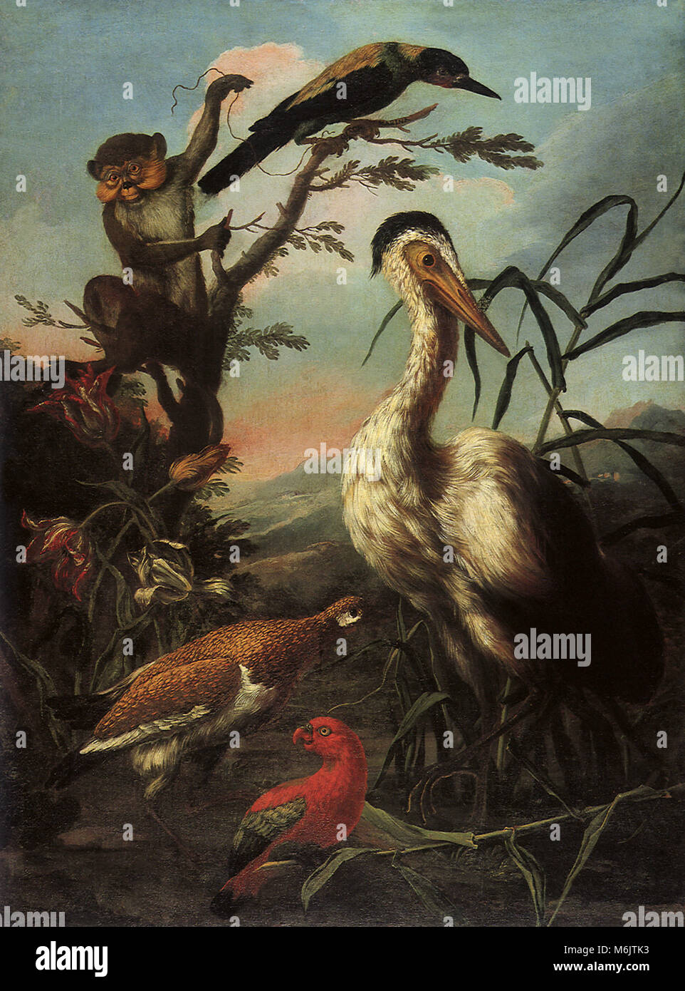 Un singe de Barbarie, un geai, une cigogne, un perroquet, et une poule Sauvage, Scacciati, Pietro Neri, 1734. Banque D'Images