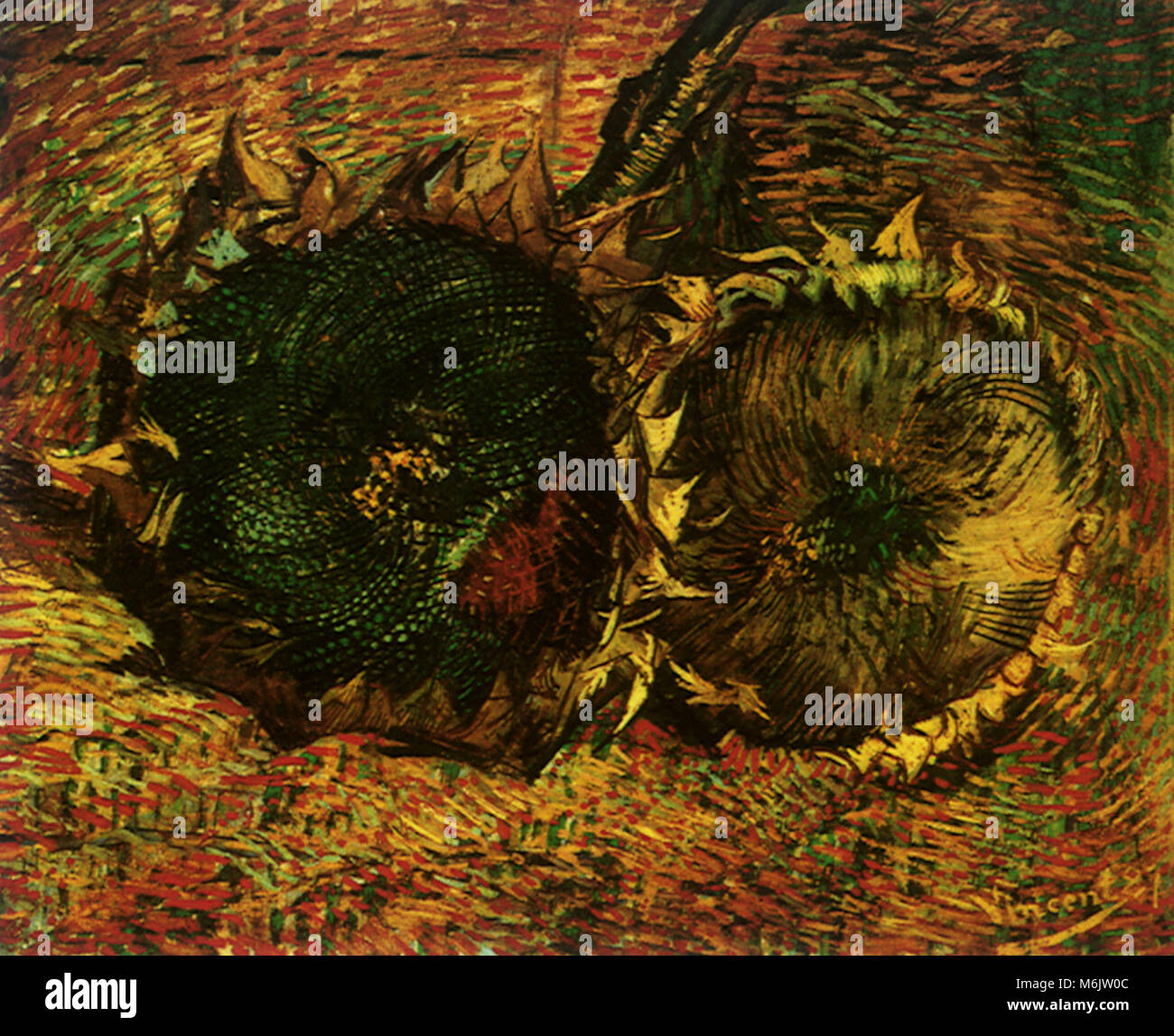 Deux tournesols coupés, Van Gogh, Vincent Willem, 1887. Banque D'Images