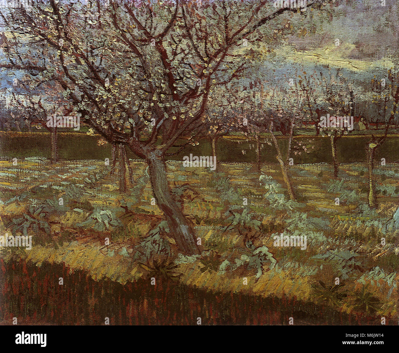 Les abricotiers en fleurs, Van Gogh, Vincent Willem, 1888. Banque D'Images