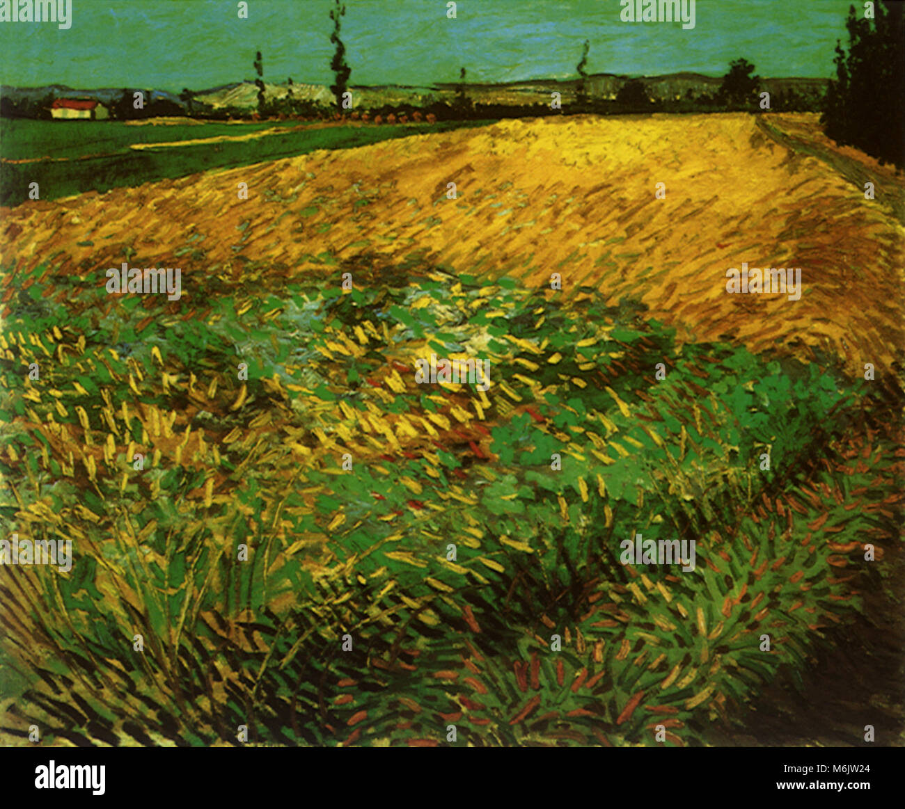 Champ de blé avec les contreforts des Alpilles dans l'arrière-plan, Van Gogh, Vincent Willem, 1888. Banque D'Images