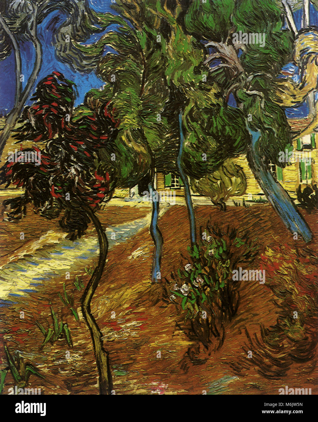Arbres du jardin de l'hôpital Saint-Paul, Van Gogh, Vincent Willem, 1889. Banque D'Images