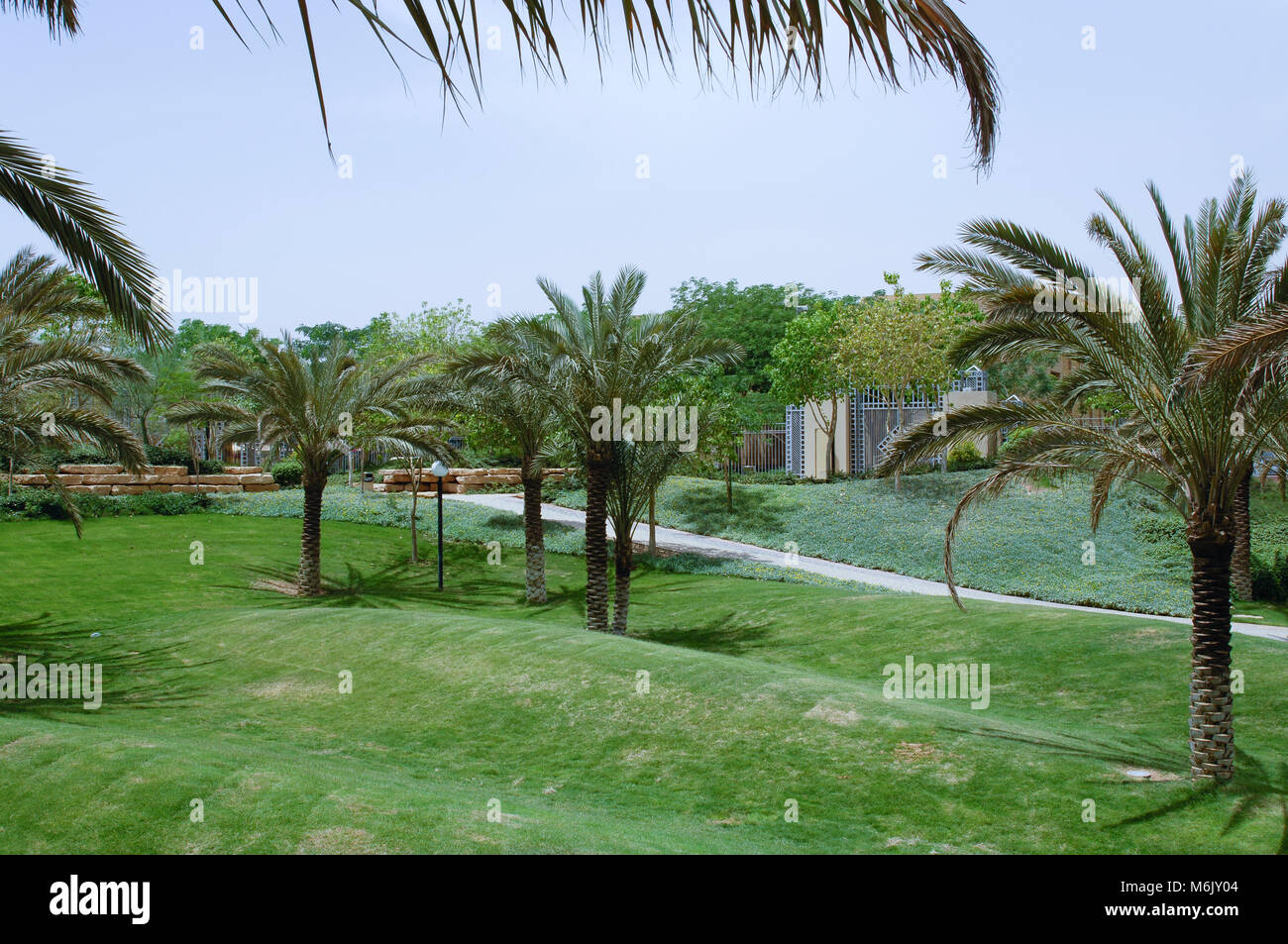 Parc verdoyant de palmiers à Riyadh, Arabie saoudite sur une journée ensoleillée Banque D'Images