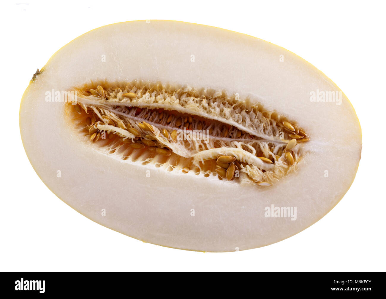 Le melon d'or, également appelé Bonjour le Melon, est une rafraîchissante, croustillant et croquant de fruits, avec une forme elliptique, riches en sucre et riche en eau. Banque D'Images