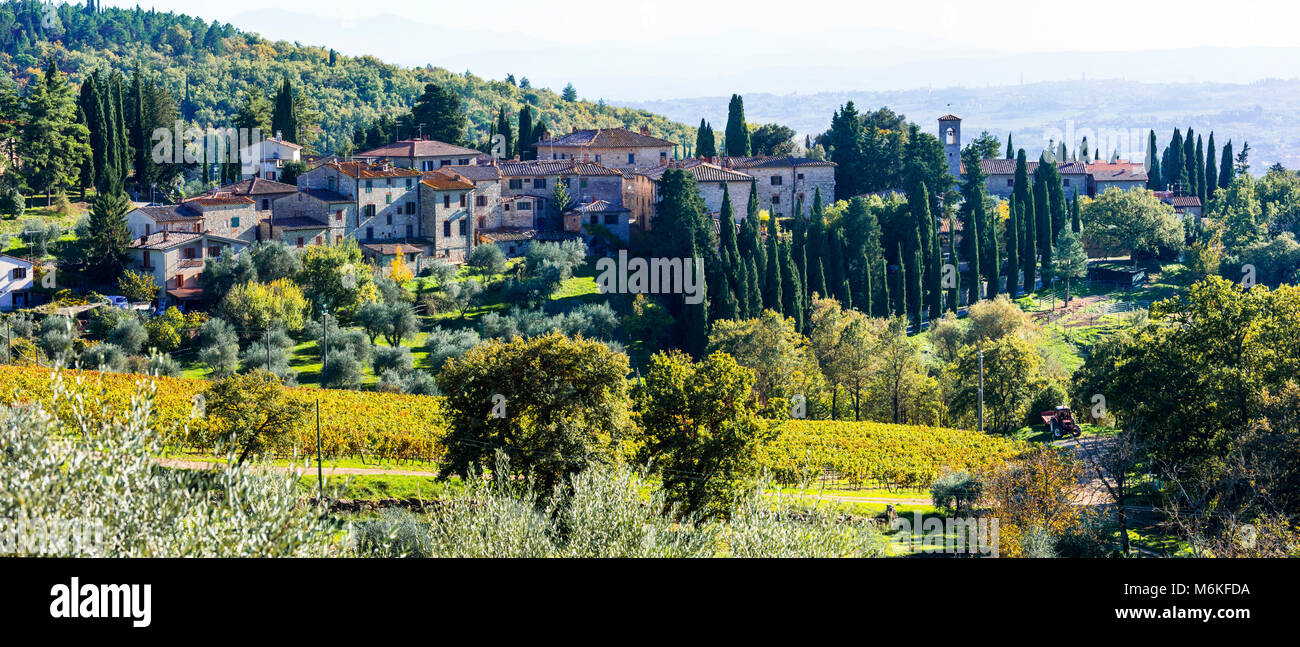 Paysage d'automne impressionnant,avec vue sur les vignes,région du Chianti,Toscane,Italie. Banque D'Images