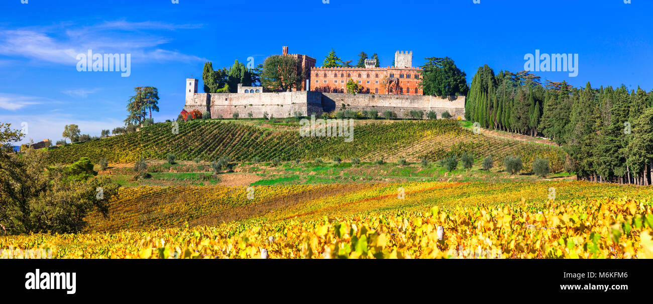 Belle vue,le Château de Brolio avec cyprès et vignes,Toscane,Italie. Banque D'Images