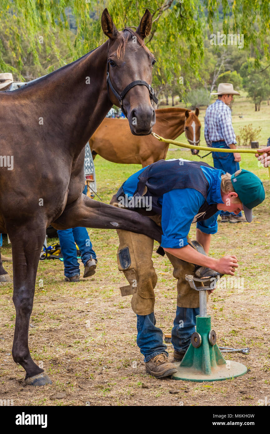 L'avoir ses ongles pendant la poli, Roi de la plage de la concurrence, Murrurundi cheval ferrage, NSW, Australie, le 24 février 2018. Banque D'Images