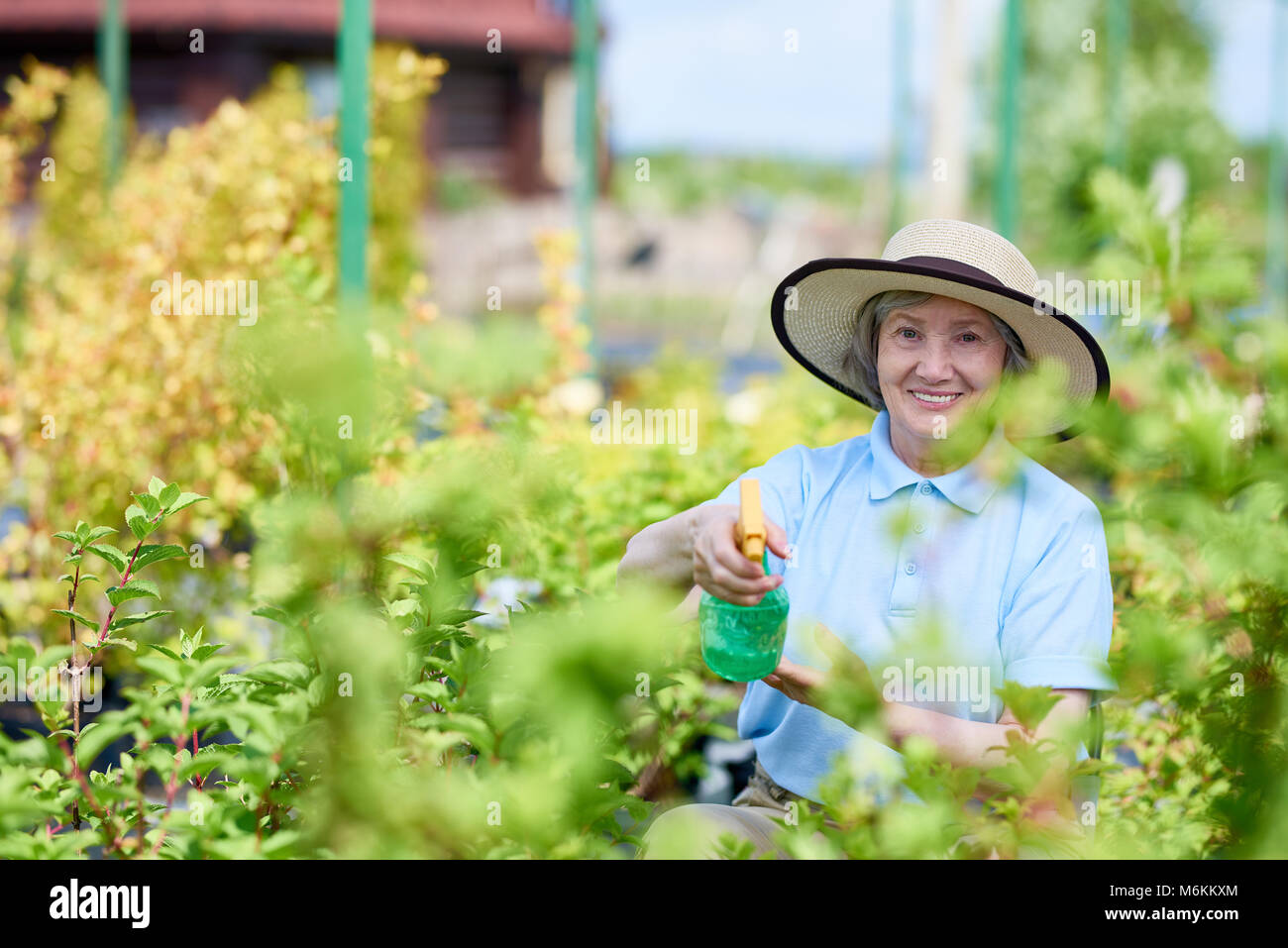 Happy Senior Woman Working in Garden Banque D'Images