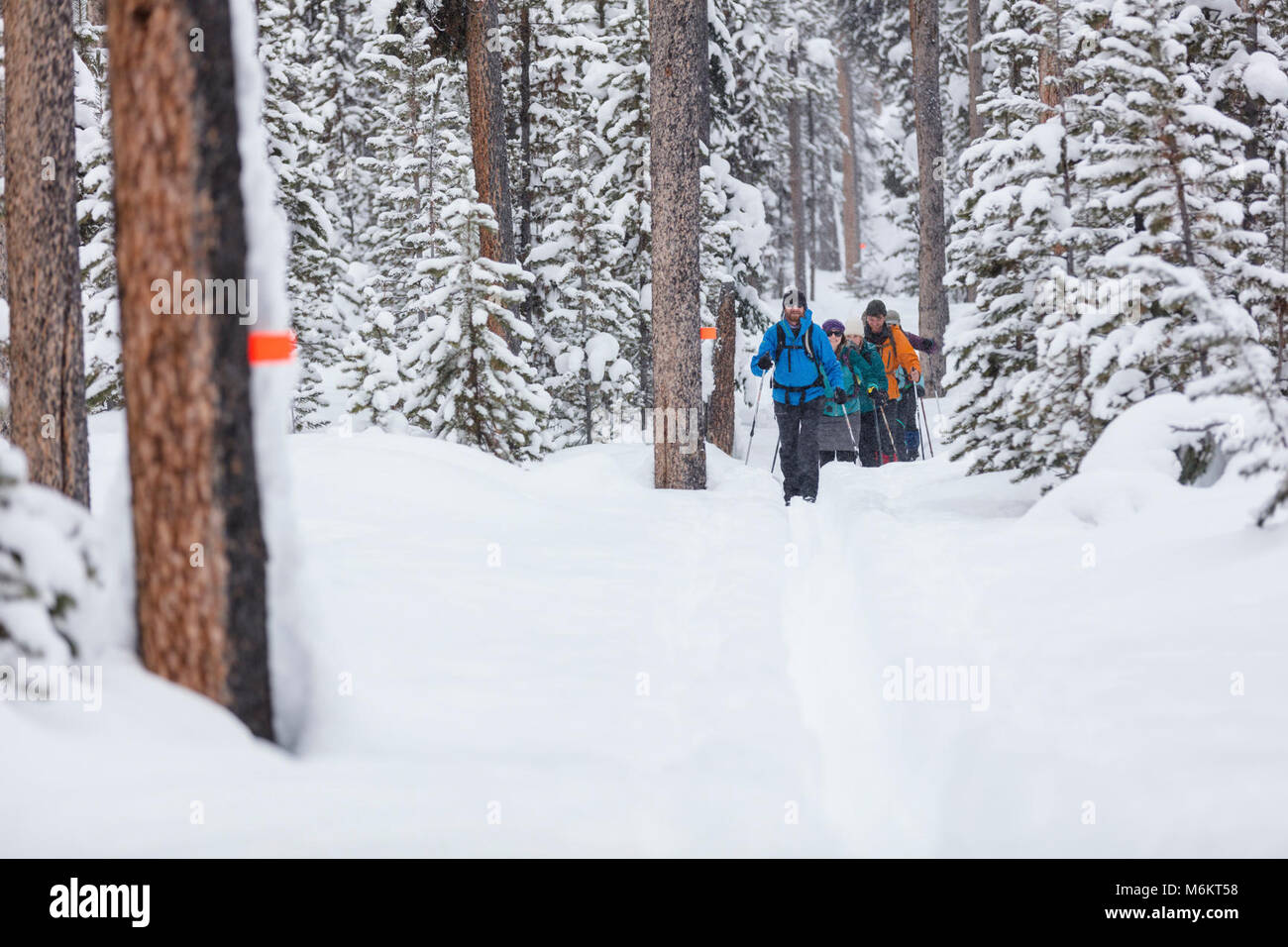 Le ski de fond le sentier en montagnes russes. Banque D'Images
