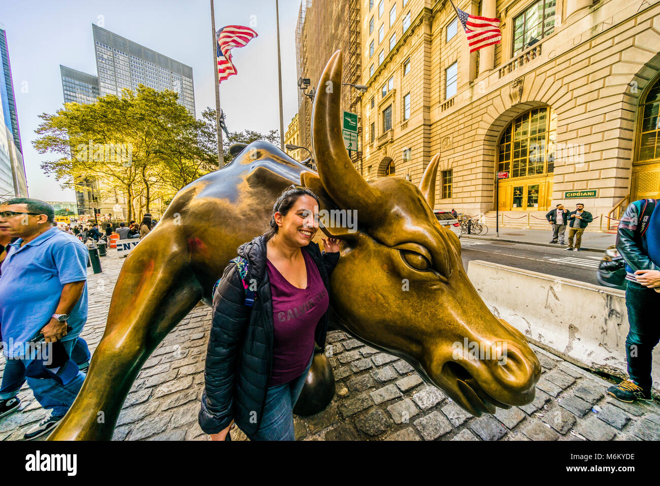 Bowling Green Bull charge   Manhattan New York, New York, USA Banque D'Images