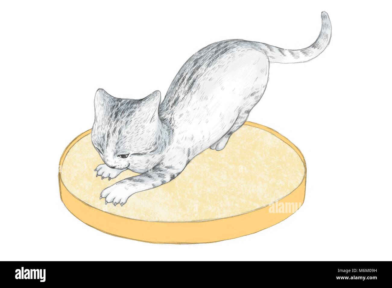 Illustration Tres Beau Et Mignon Chat De La Vie Quotidienne 007 Image Vectorielle Stock Alamy Illustration Tres Beau Et Mignon Chat De La Vie Quotidienne 007 Image Vectorielle Stock Alamy