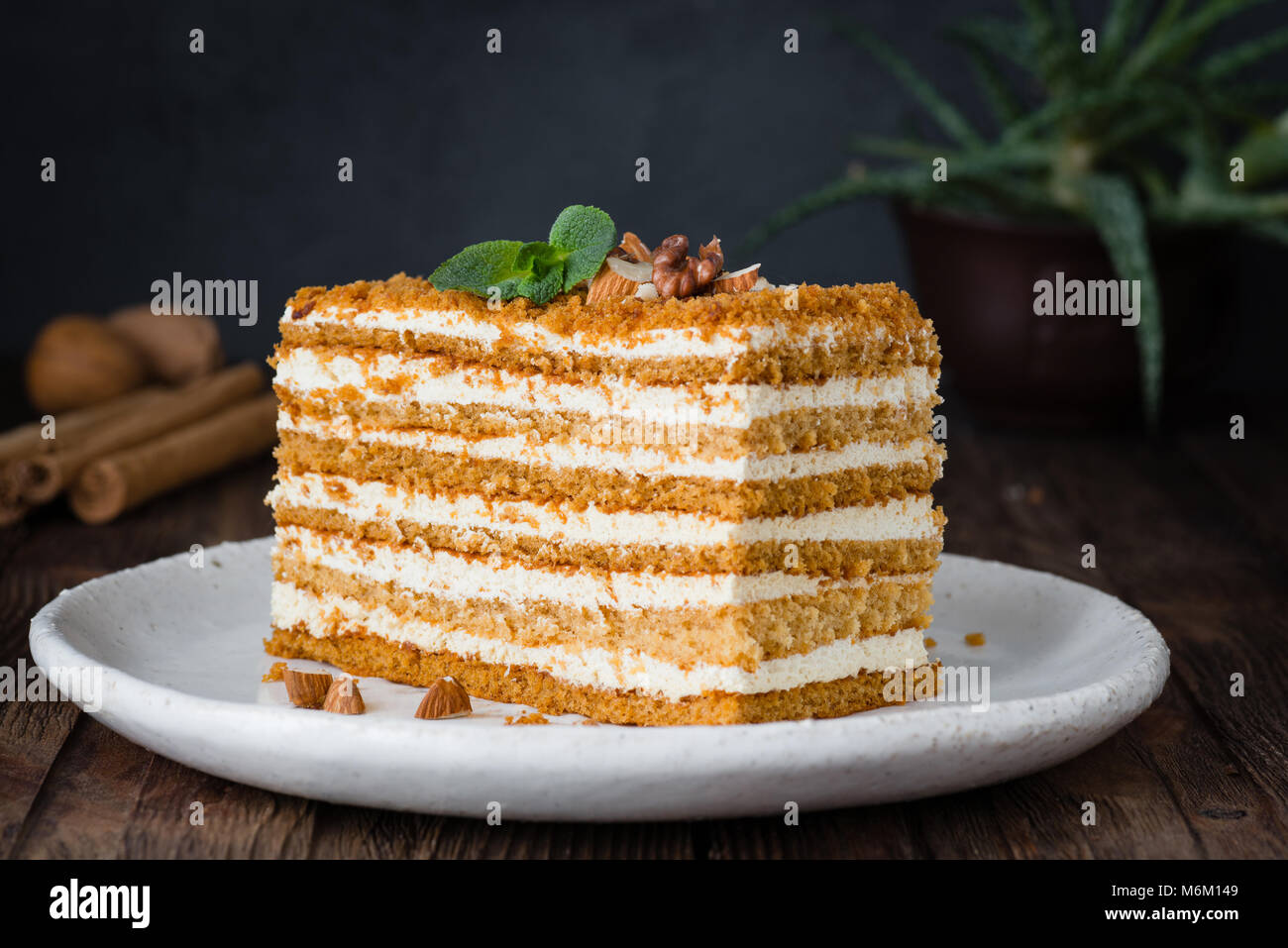 Tranche De Gateau De Miel En Couches Gateau Russe Medovik Avec Les Noix Vue Rapprochee Horizontale Photo Stock Alamy