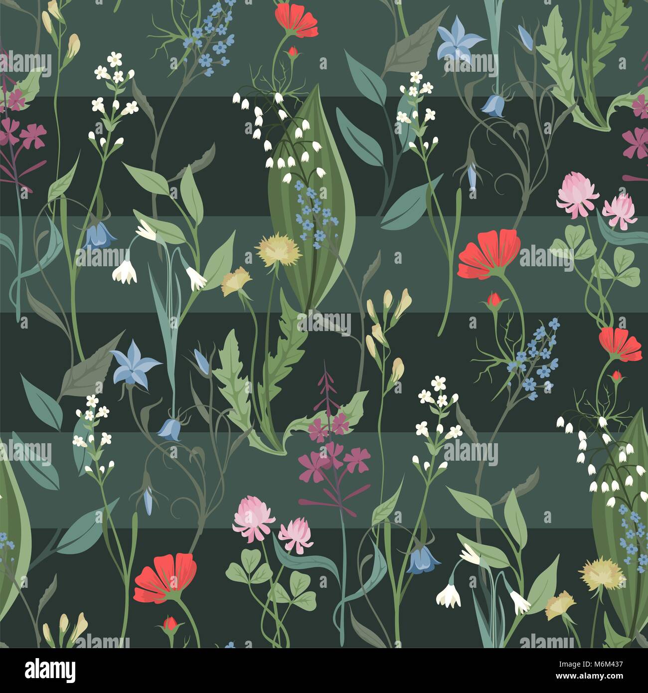 Herbes et fleurs sauvages vector pattern transparente de botanique bdckground texture vintage illustrations images flowes Illustration de Vecteur