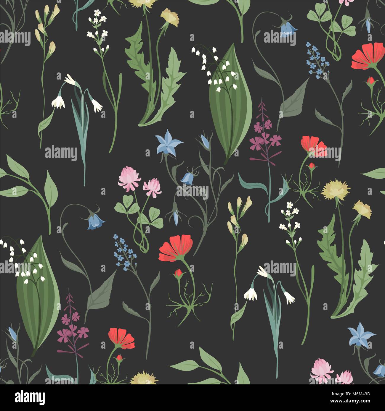 Herbes et fleurs sauvages vector pattern transparente de botanique bdckground texture vintage illustrations images flowes Illustration de Vecteur