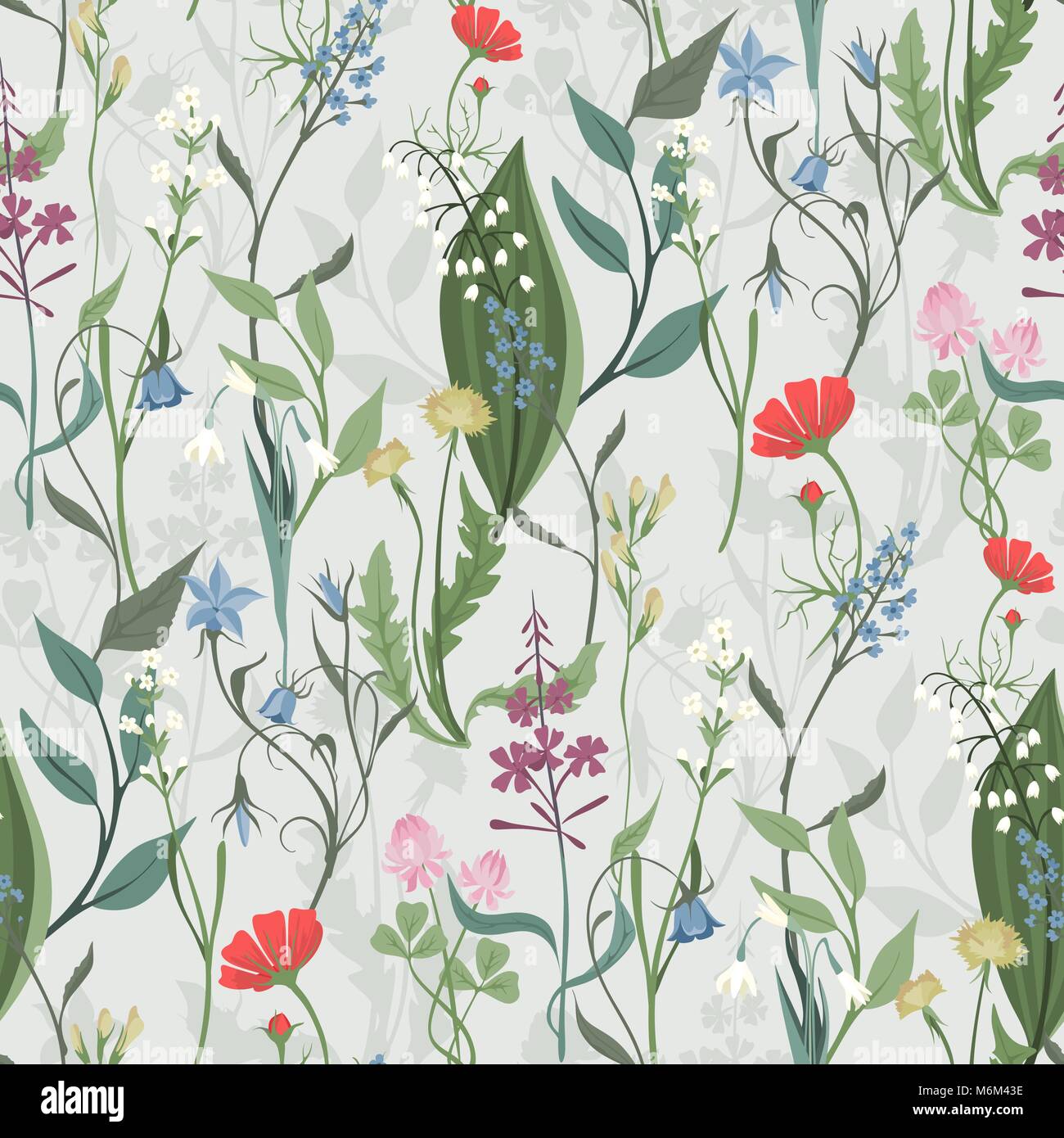 Herbes et fleurs sauvages vector pattern transparente de botanique bdckground texture vintage illustrations images flowes Illustration de Vecteur