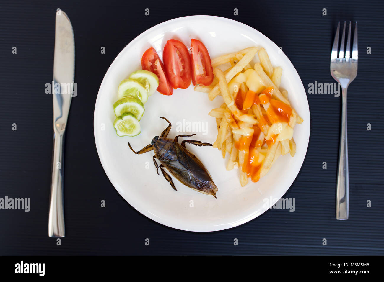 Offre d'insectes comestibles sur une assiette. Insecte d'eau géant frit - Lethocerus indicus avec frites et légumes sur une assiette. Banque D'Images