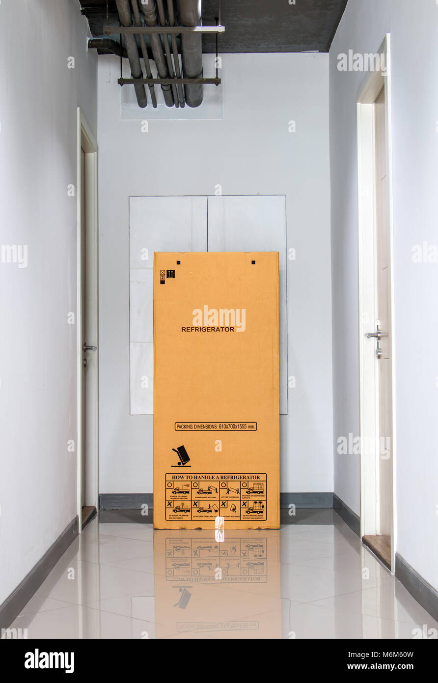 Une grande boîte en carton dans le couloir de l'immeuble. Paquet de le réfrigérateur en face de la porte. Banque D'Images