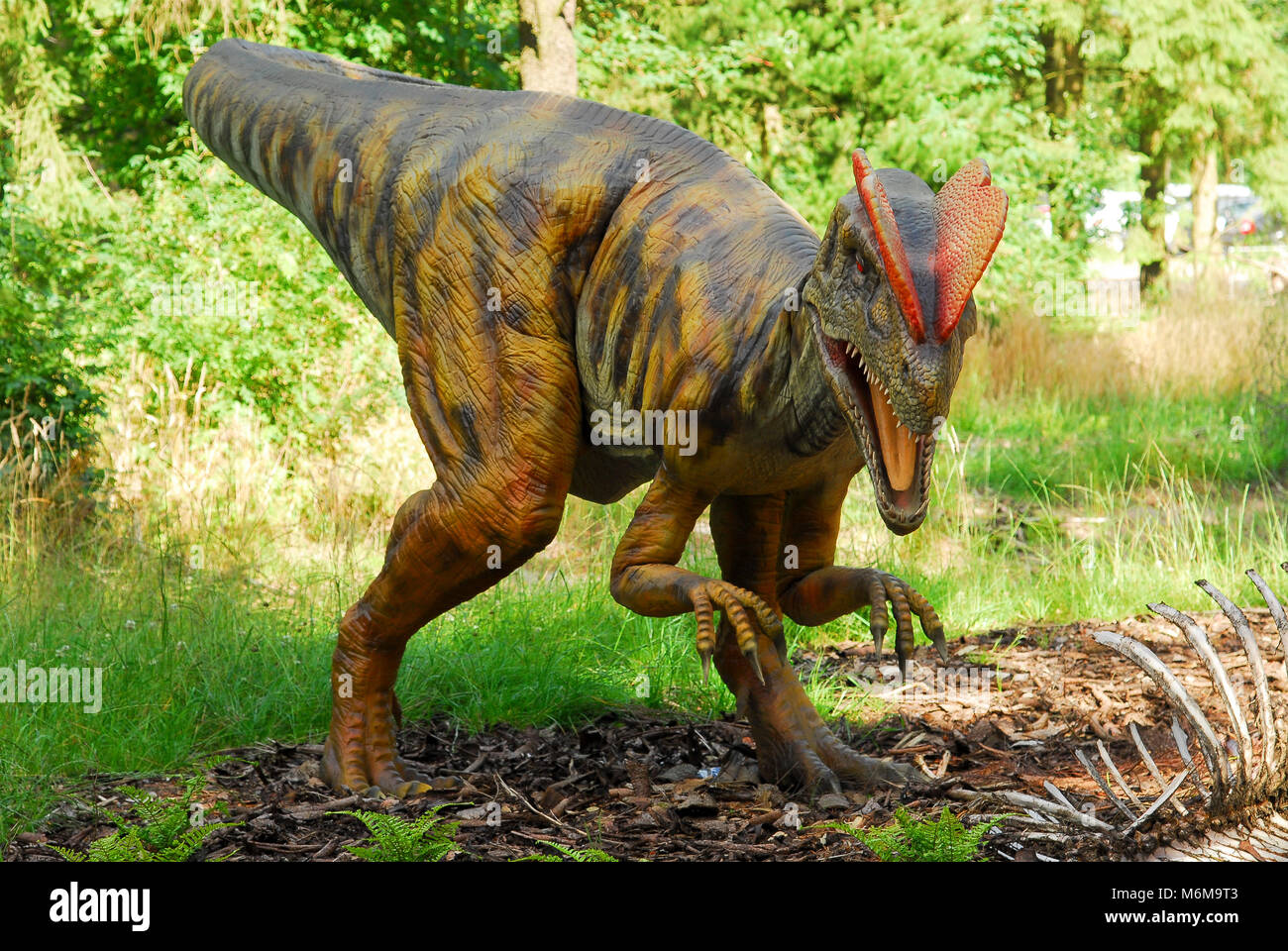 Modèle Taille réelle de Dilophosaurus dinosaure dans parc de dinosaures dans le Zoo de Givskud Givskud en, au Danemark. Le 8 août 2015. Givsud Zoo est l'un des plus grandes Banque D'Images