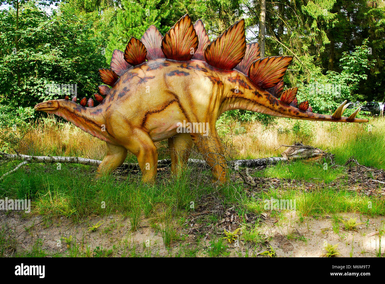 La taille de modèle complet de dinosaure Stegosaurus Dinosaur Park dans le Zoo de Givskud en Danemark, de Givskud. Le 8 août 2015. Givsud Zoo est l'un des plus gros au tourisme Banque D'Images