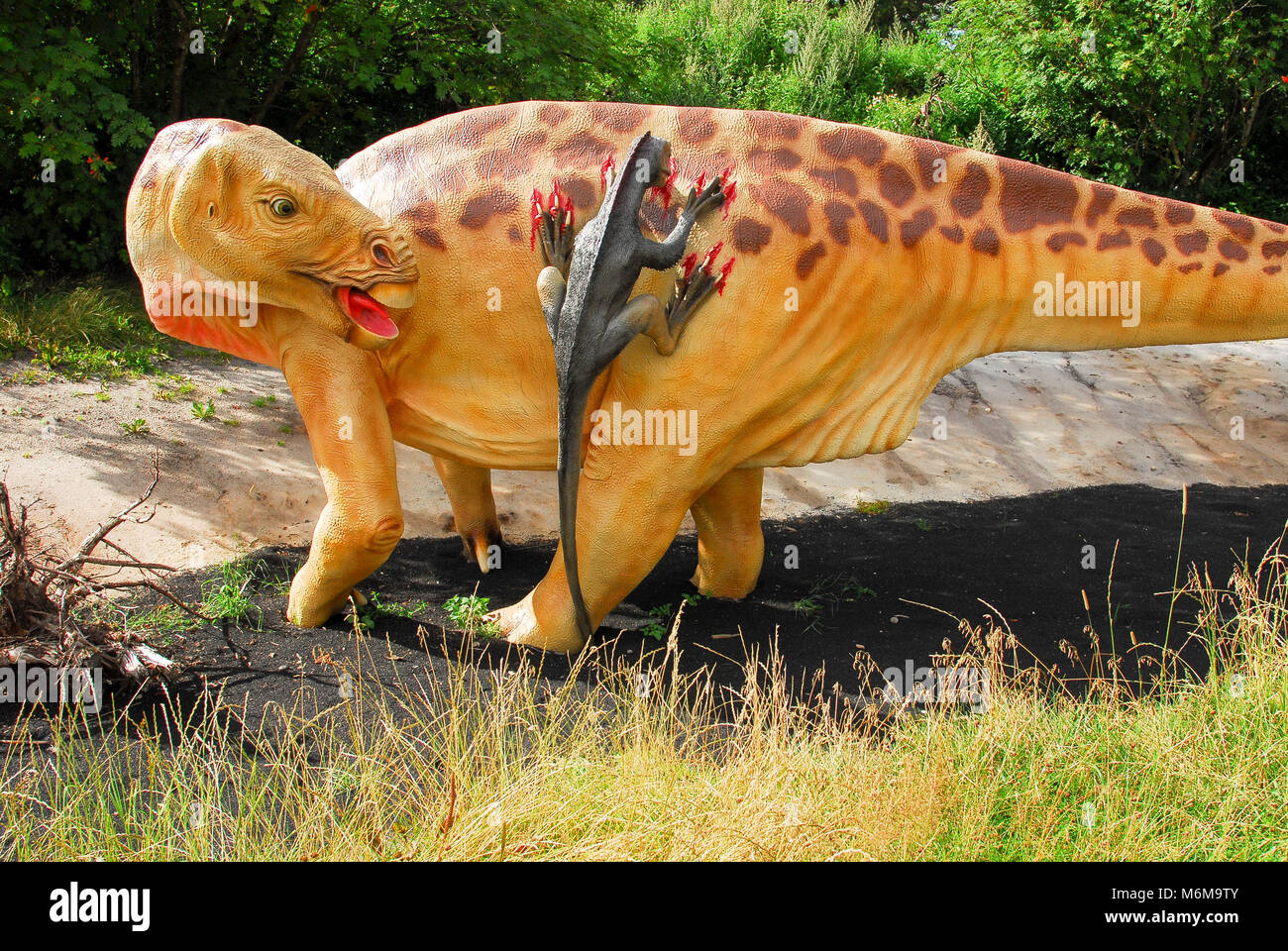 Modèle Taille réelle de Deinonychus et Iguanodon dinosaure dans parc de dinosaures dans le Zoo de Givskud Givskud en, au Danemark. Le 8 août 2015. Givsud Zoo est l'un le bigg Banque D'Images