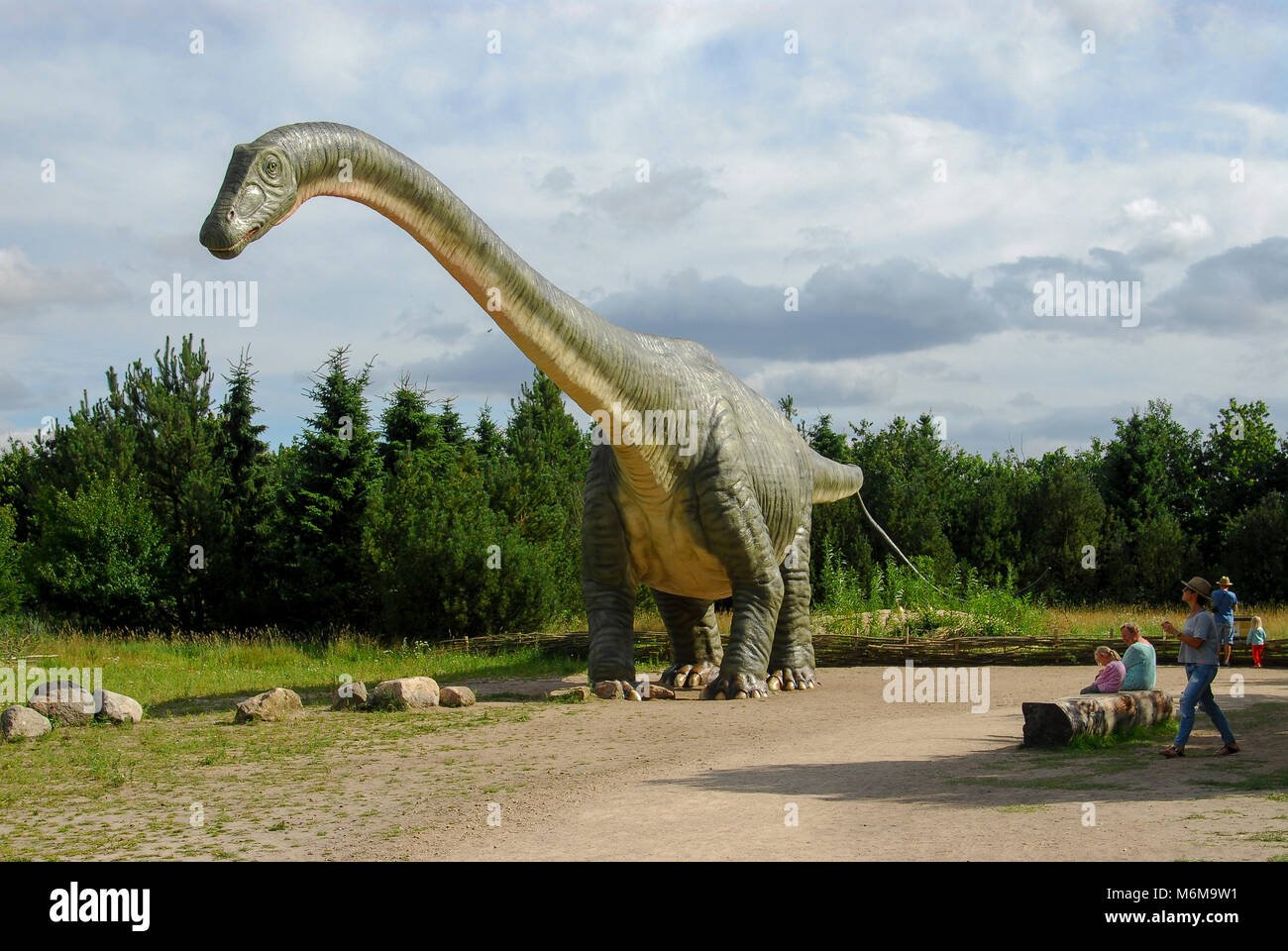 Modèle Taille réelle de l'Argentinosaurus dinosaure dans parc de dinosaures dans le Zoo de Givskud Givskud en, au Danemark. Le 8 août 2015. Givsud Zoo est l'un des plus gros touris Banque D'Images