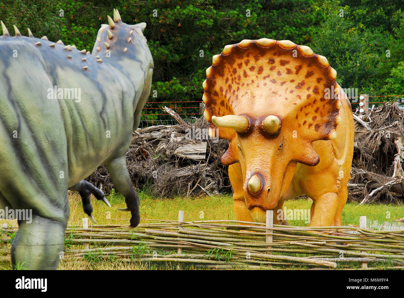 Modèle Taille réelle de l'Albertosaurus dinosaure dinosaure Triceratops et dans le parc dans le Zoo de Givskud en Danemark, Givskud. Le 8 août 2015. Givsud Zoo est un l Banque D'Images