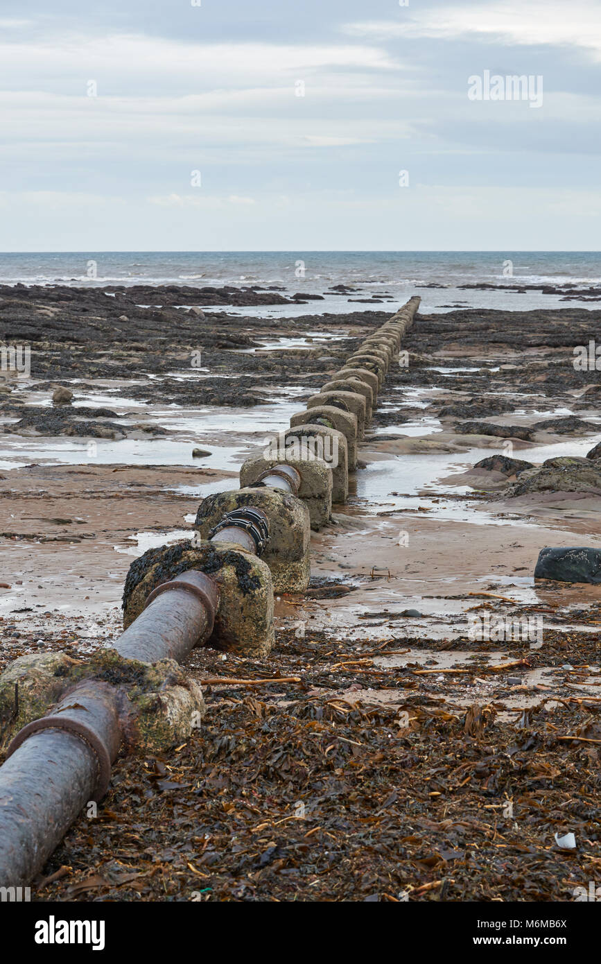 Une vieille tête de vidange des eaux usées dans la mer du Nord de la Côte d'Angus, juste au nord du village de pêcheurs de Easthaven. Banque D'Images