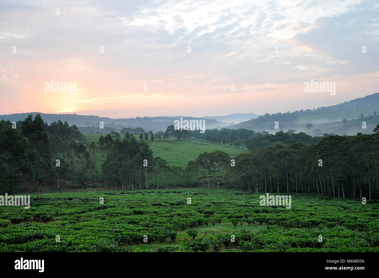 L'Ouganda, du paysage à proximité du parc de Kibale Banque D'Images