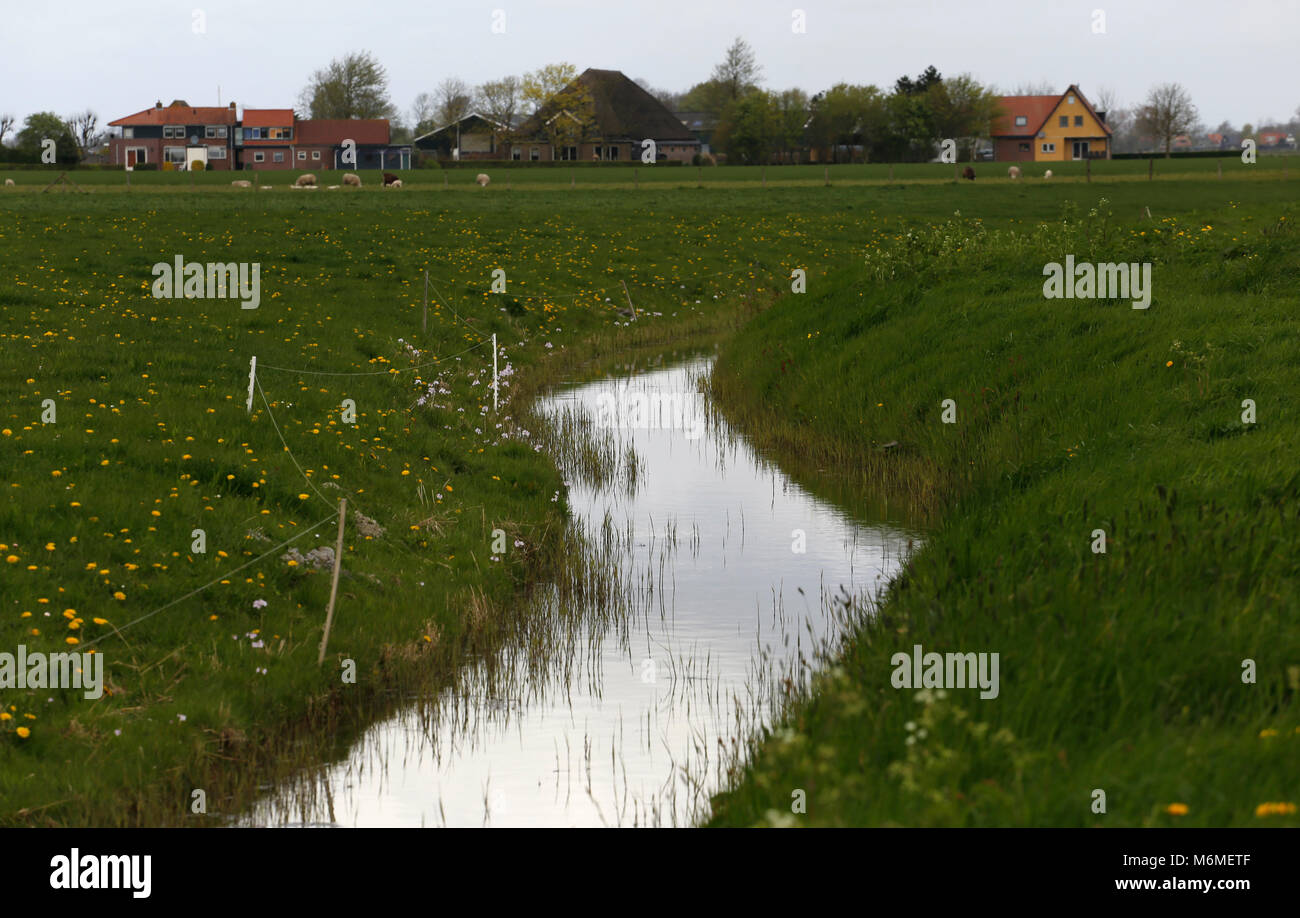 Paysage hollandais au printemps Banque D'Images