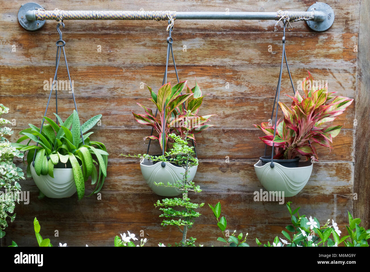 Accueil fleurs et plantes dans les pots suspendus à un jardin dans une maison et appartements partage populaire en Thaïlande Banque D'Images